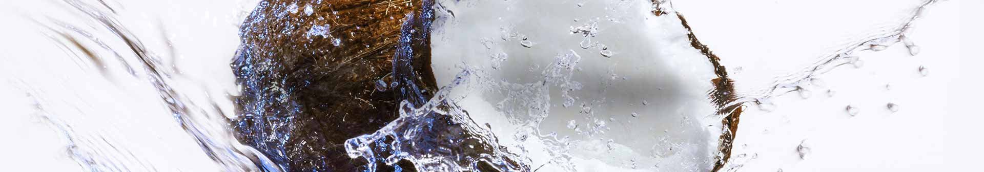 1920x336_IngredientsBanner_Coconut