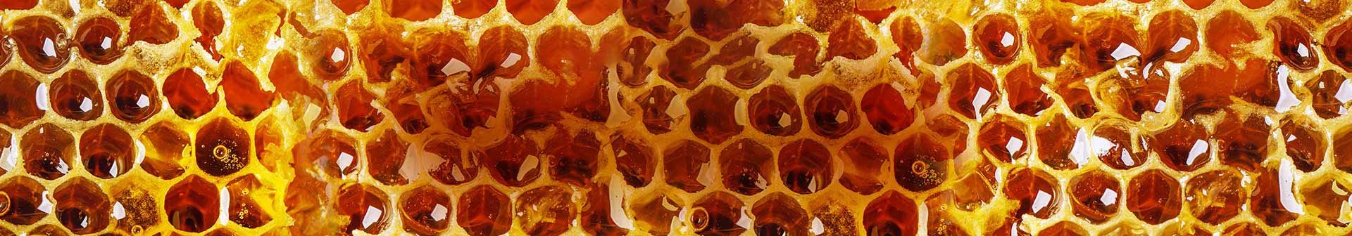 1920x336_IngredientsBanner_Propolis