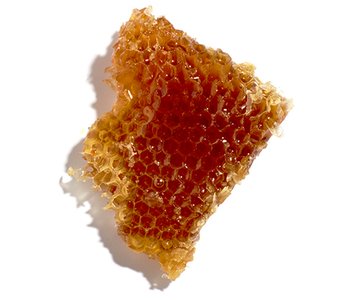 propolis1